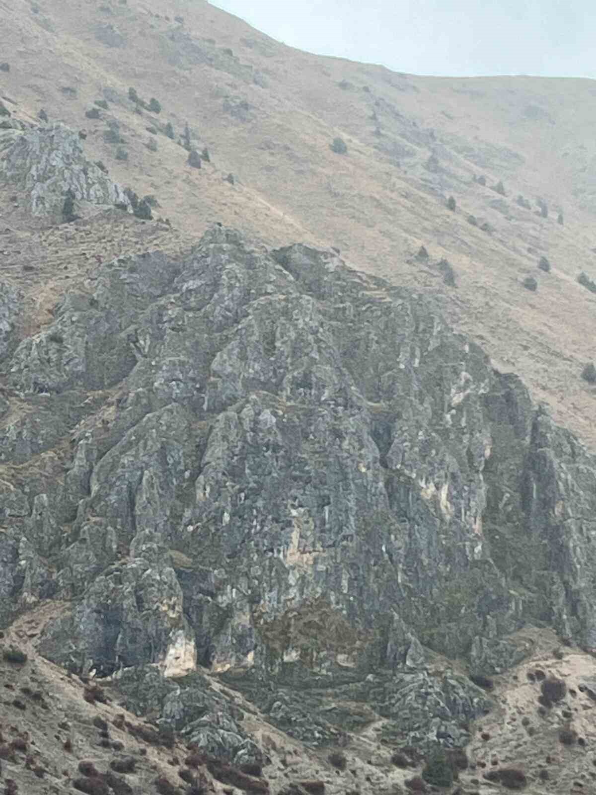 ERZİNCAN’DA MAHSUR KALAN KEÇİLER İÇİN JAK VE AFAD SEFERBER OLDU