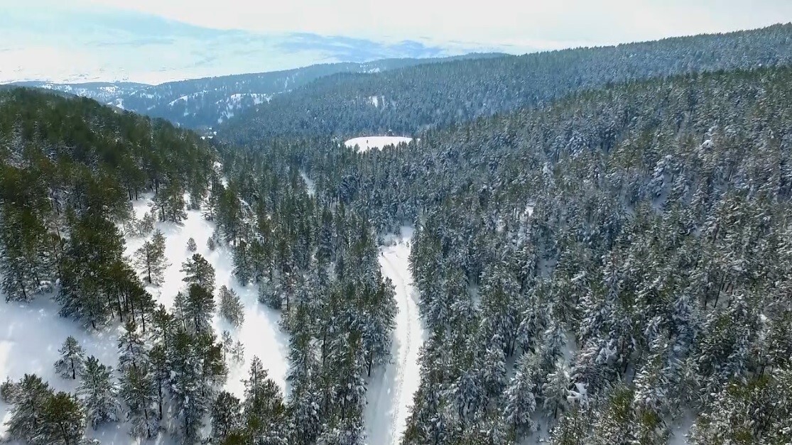 ERZİNCAN’IN REFAHİYE İLÇESİNDE BULUNAN VE ÇAM ORMANLARIYLA ÇEVRİLİ DUMANLI TABİAT PARKI, ETKİLİ...
