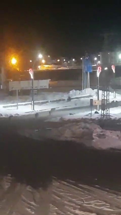 ERZURUM’UN KARAYAZI İLÇESİNDE AKŞAM SAATLERİNDE KURTLARIN SÜRÜ HALİNDE DOLAŞMASI VATANDAŞLARA...