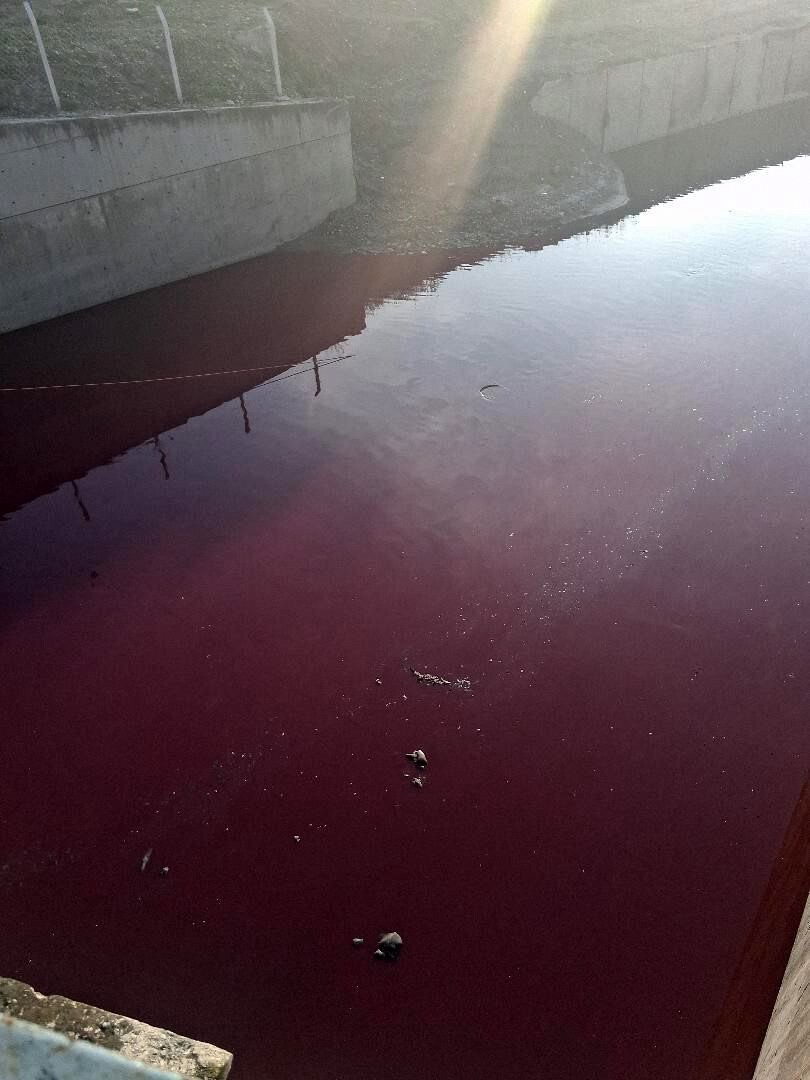 ESENYURT'TA BULUNAN HARAMİDERE'NİN RENGİ KIRMIZIYA DÖNDÜ.