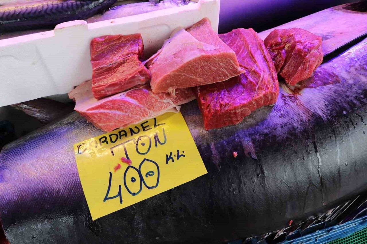 ESKİŞEHİR'DE BALIKÇILIK YAPAN SELAHATTİN ARSLANBENZER, TÜRKİYE'DE SATIŞI ÖZEL İZİNLERE TABİ OLAN...