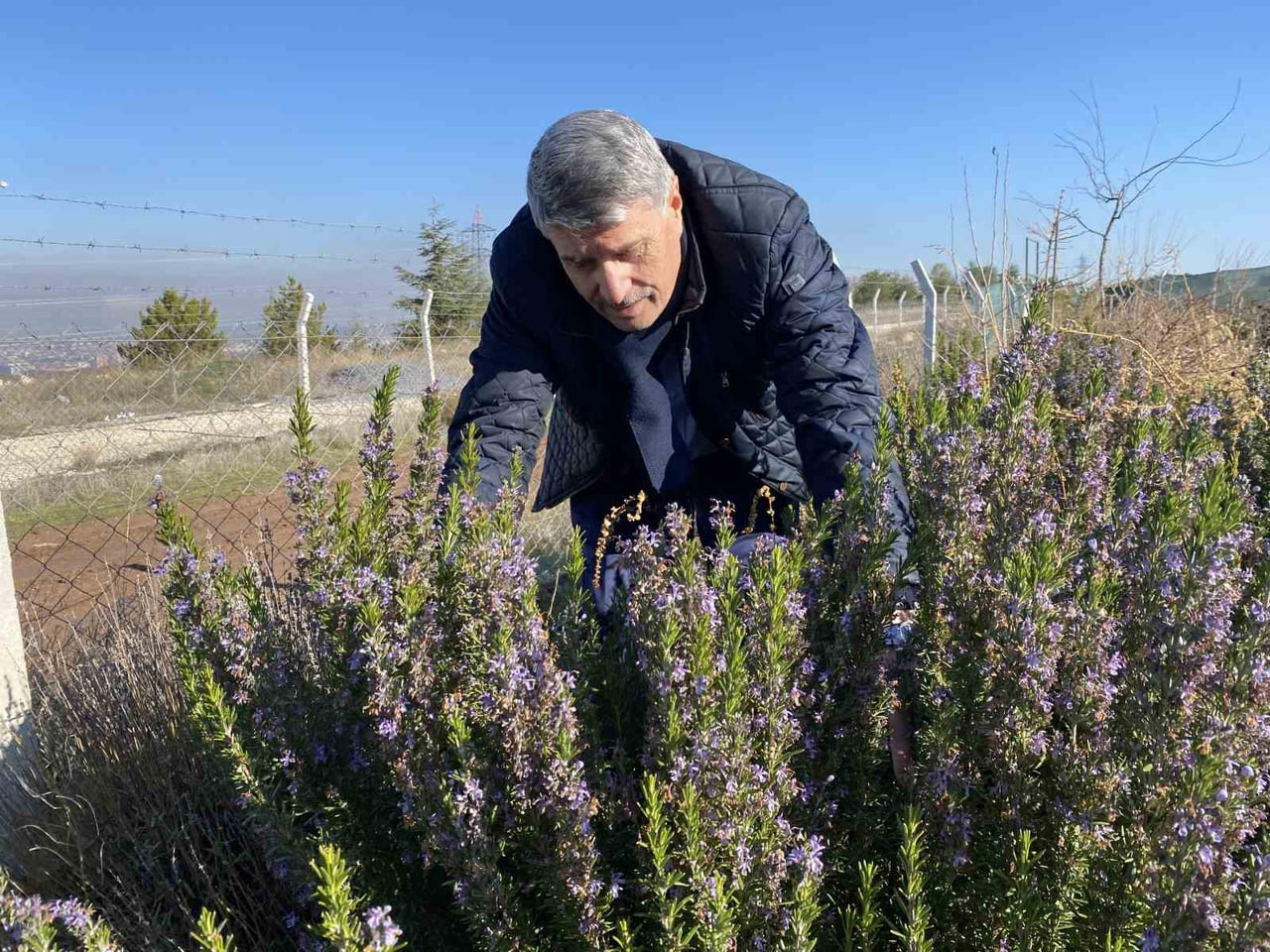 ESKİŞEHİR OSMANGAZİ ÜNİVERSİTESİ (ESOGÜ) ZİRAAT FAKÜLTESİ TARLA BİTKİLERİ BÖLÜMÜ ÖĞR. ÜYESİ PROF....