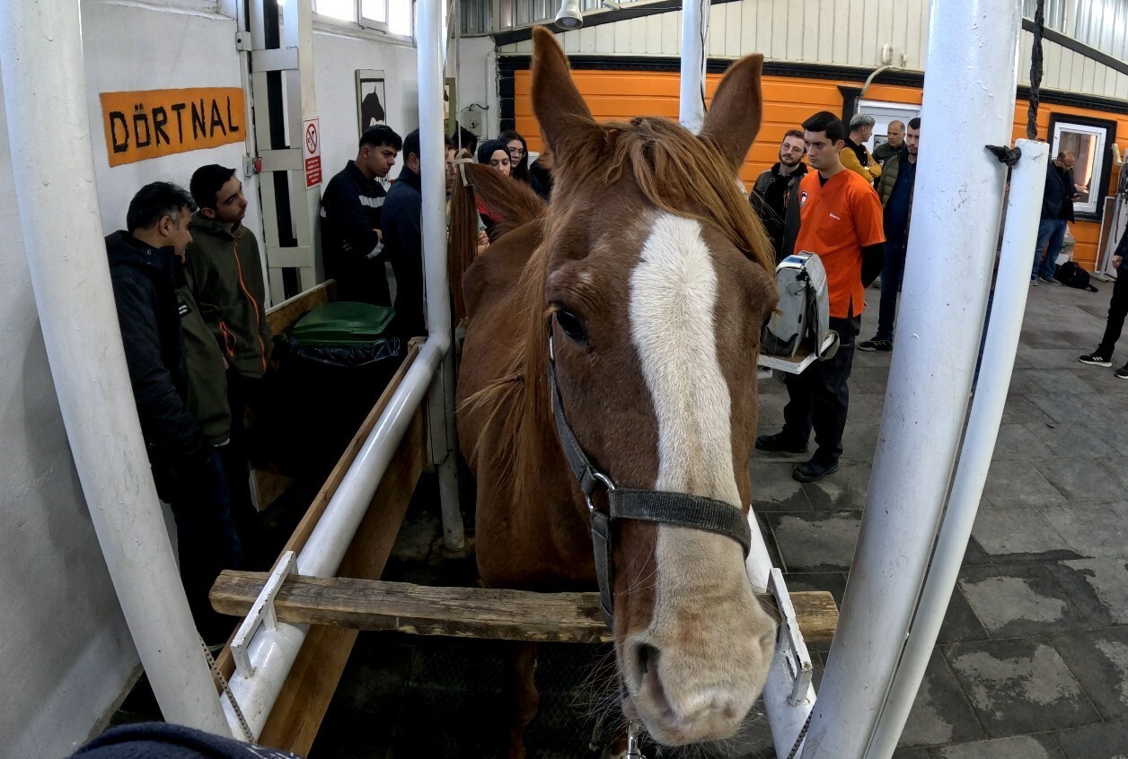 ESKİŞEHİR TARIM VE ORMAN İL MÜDÜRLÜĞÜ İLE ESKİŞEHİR BİLECİK BÖLGESİ VETERİNER HEKİMLER ODASI İŞ...