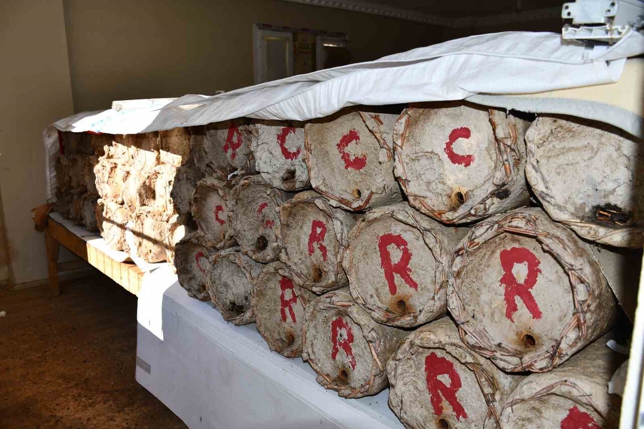 EVİN EN GÜZEL ODASINI BAL ARILARINA AYIRDI. KARA KOVAN BALI ÜRETEN ÇİFTÇİ ARILARINA GÖZÜ GİBİ...