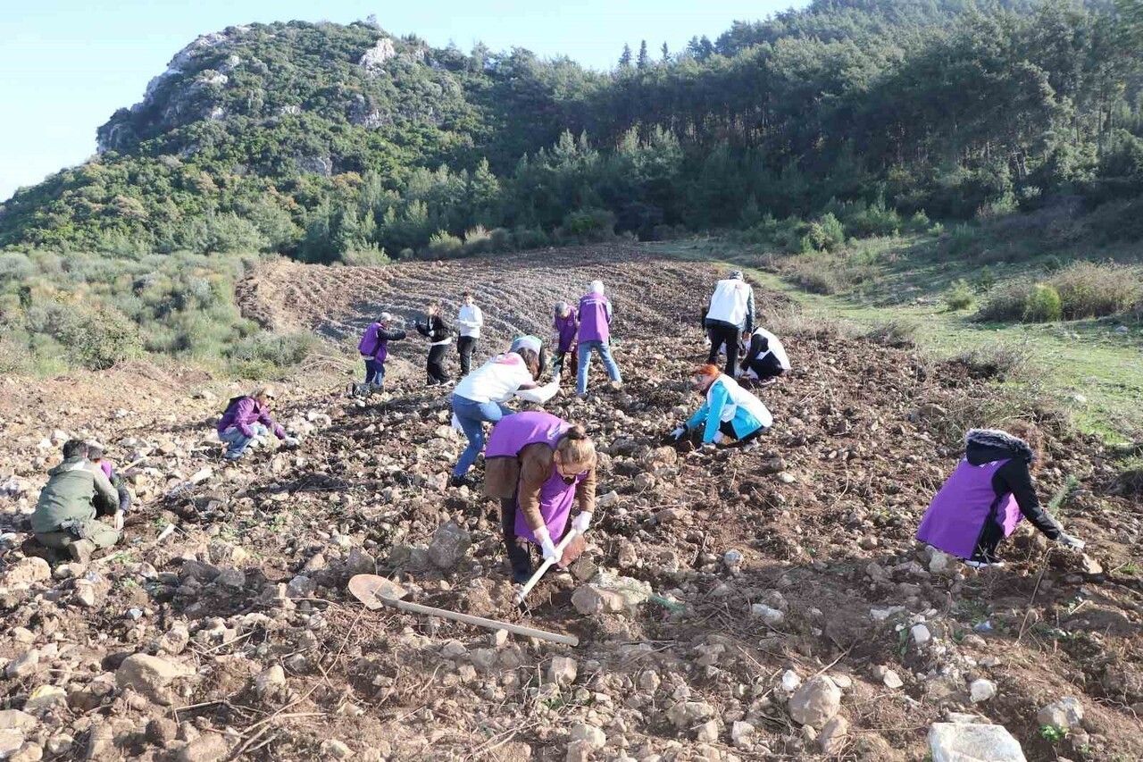 FİDANLAR TOPRAKLA BULUŞTU