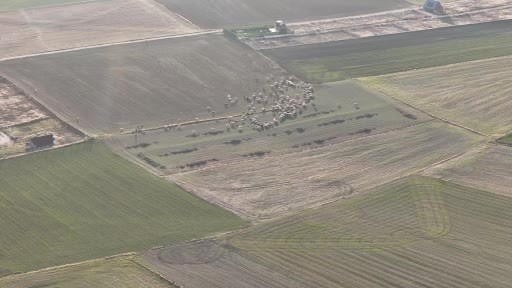 Geçen sene ağıllara kapatılan küçükbaşlar soğumayan havalardan dolayı kırlarda
