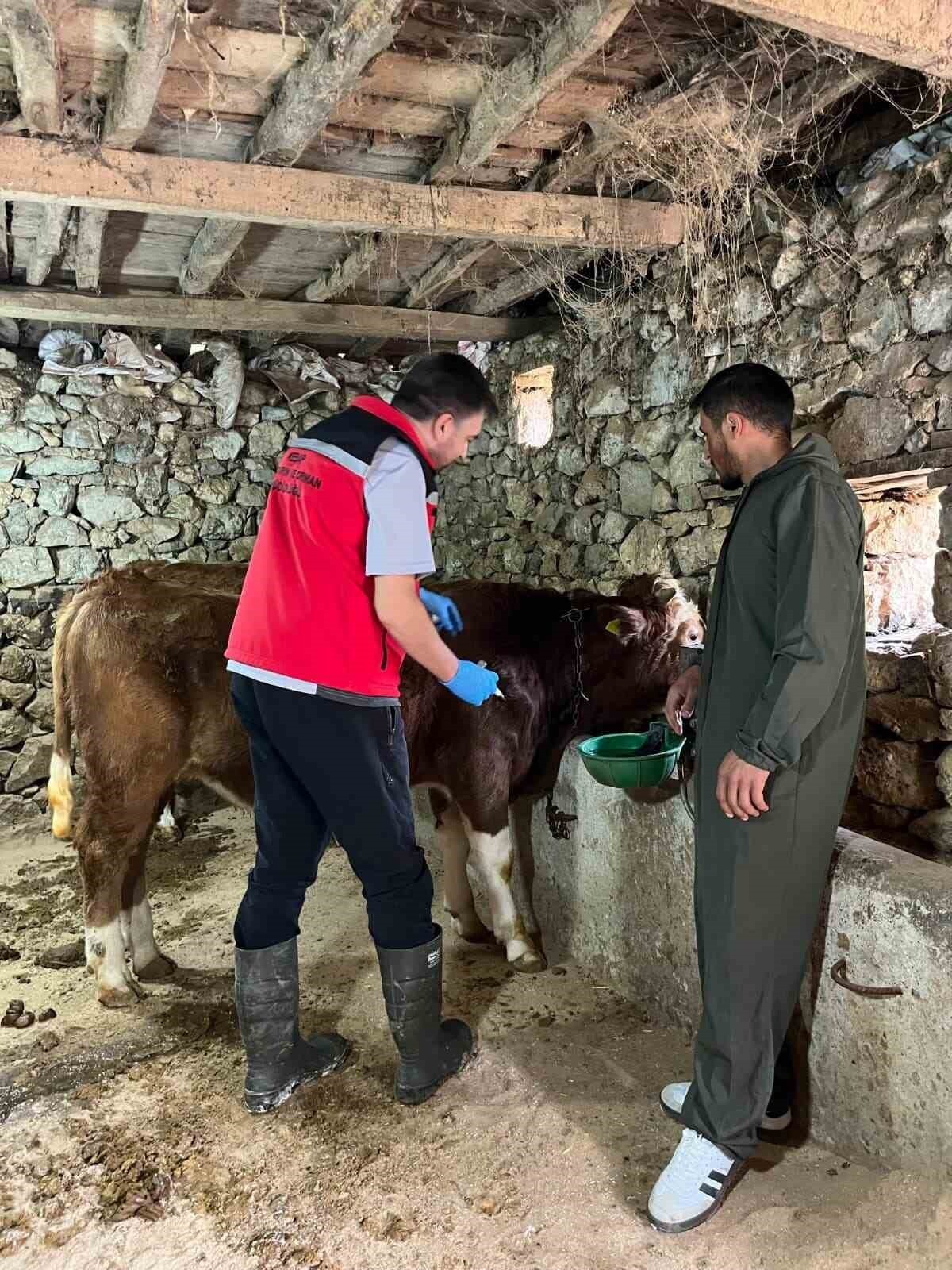 GİRESUN İL TARIM VE ORMAN MÜDÜRLÜĞÜ TARAFINDAN İL GENELİNDE 2025 YILI İÇERİSİNDE YAKLAŞIK 450...