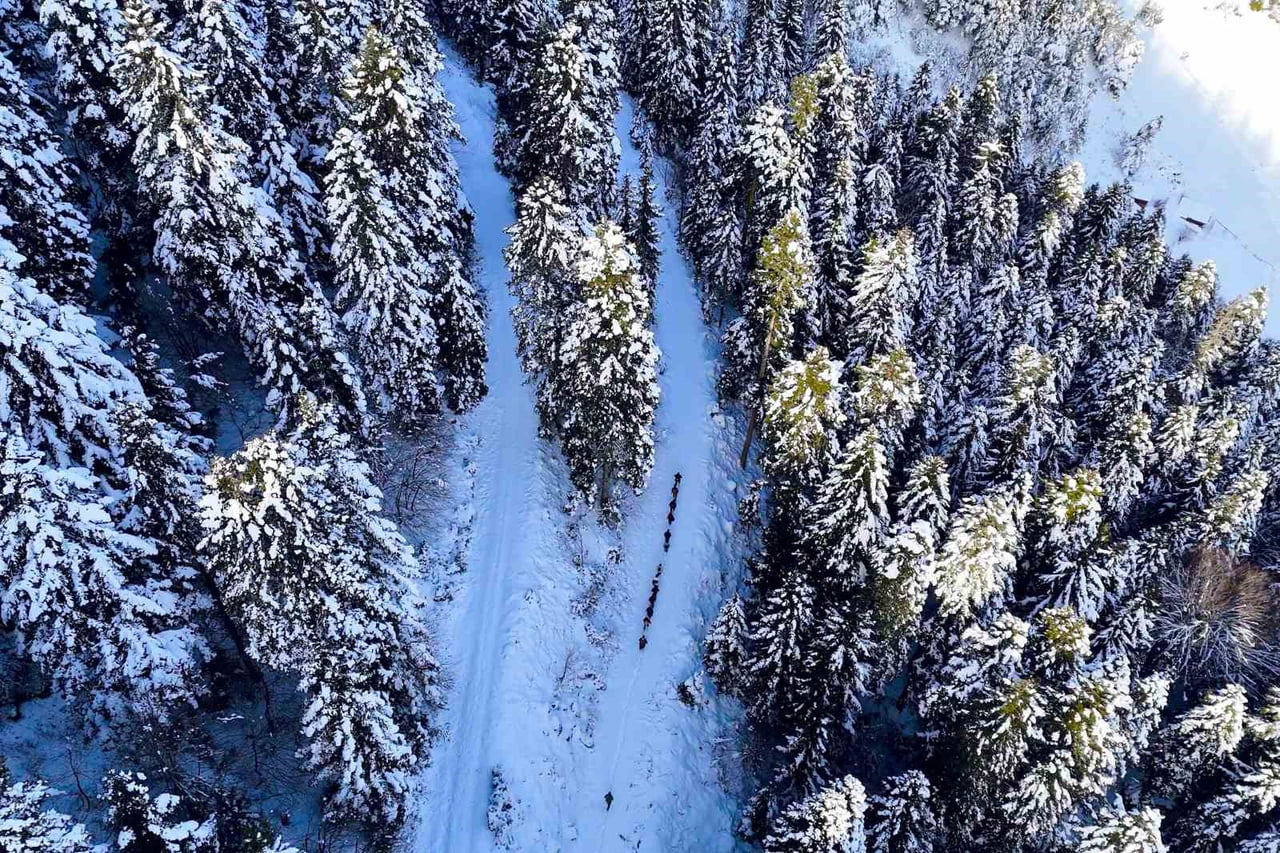 GÜMÜŞHANE DAĞCILIK, DOĞA SPORLARI, GENÇLİK VE SPOR KULÜBÜ DERNEĞİ (GÜDAK), GELENEKSEL HALE...