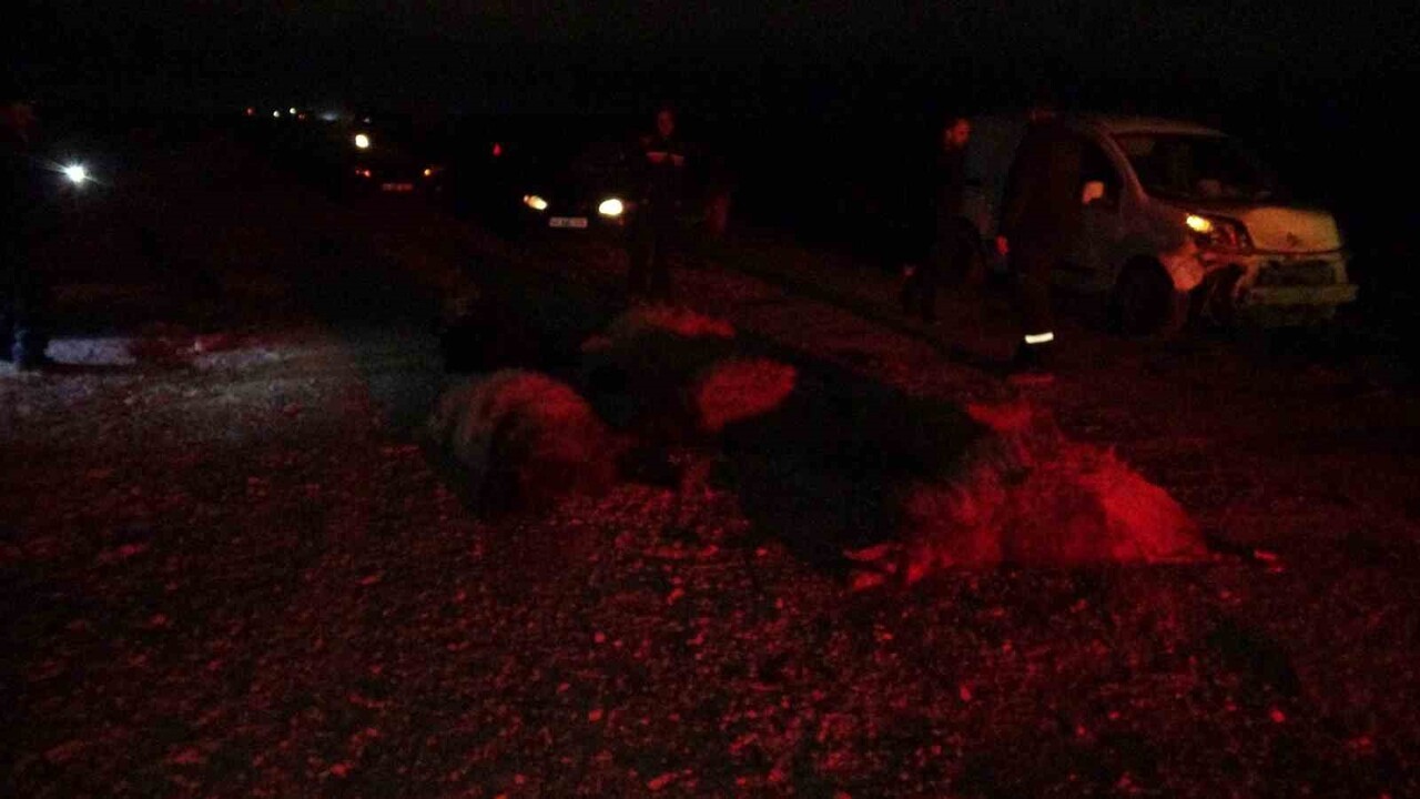 HAFİF TİCARİ ARAÇ SÜRÜYE DALDI, 10'DAN FAZLA KOYUN TELEF OLDU