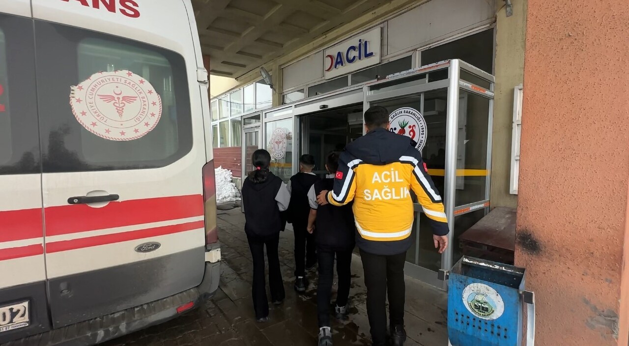 HAKKARİ'NİN YÜKSEKOVA İLÇESİNDE BULUNAN VALİ ERDOĞAN GÜRBÜZ İLK VE ORTAOKULU'NDA DÜZENLENEN "YERLİ...