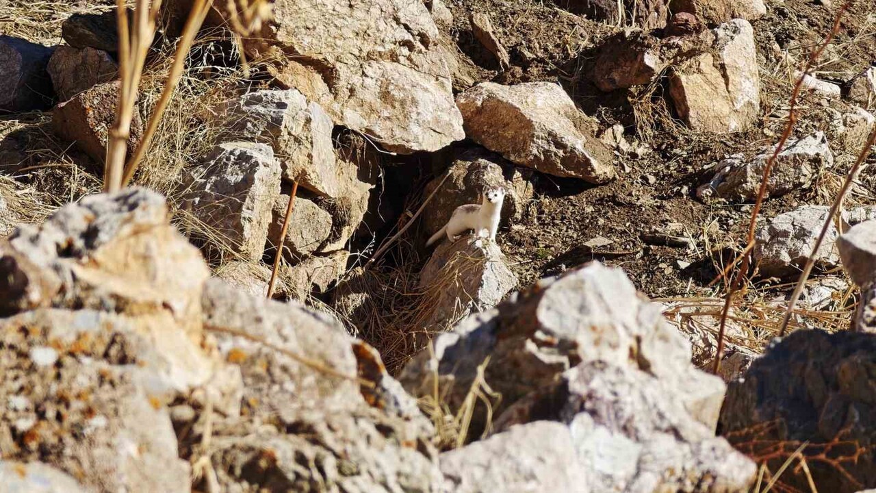 HAKKARİ MERKEZ KIRIKDAĞ VADİSİ’NDE, DOĞA VE DAĞ SPORLARI TUTKUNLARI İÇİN UNUTULMAZ BİR GÜN...