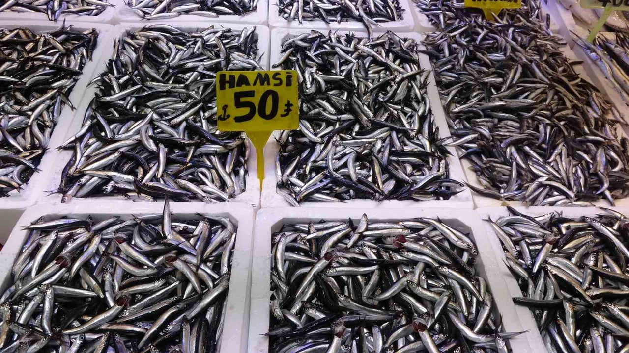 HAMSİNİN FİYATI 50 TL'YE KADAR GERİLEMİŞTİ