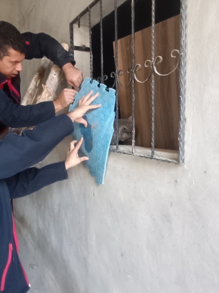 HATAY'DA DEMİR KORKULUKLAR ARASINDA MAHSUR KALAN KEDİ, İTFAİYE OPERASYONUYLA KURTARILDI.