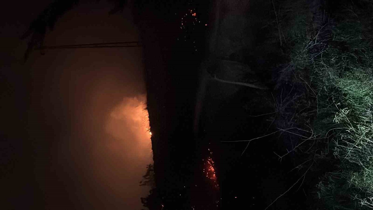 HATAY (İHA) - HATAY’IN İSKENDERUN İLÇESİNDE ÇIKAN OTLUK YANGINI, ORMAN İŞLETME MÜDÜRLÜĞÜ...