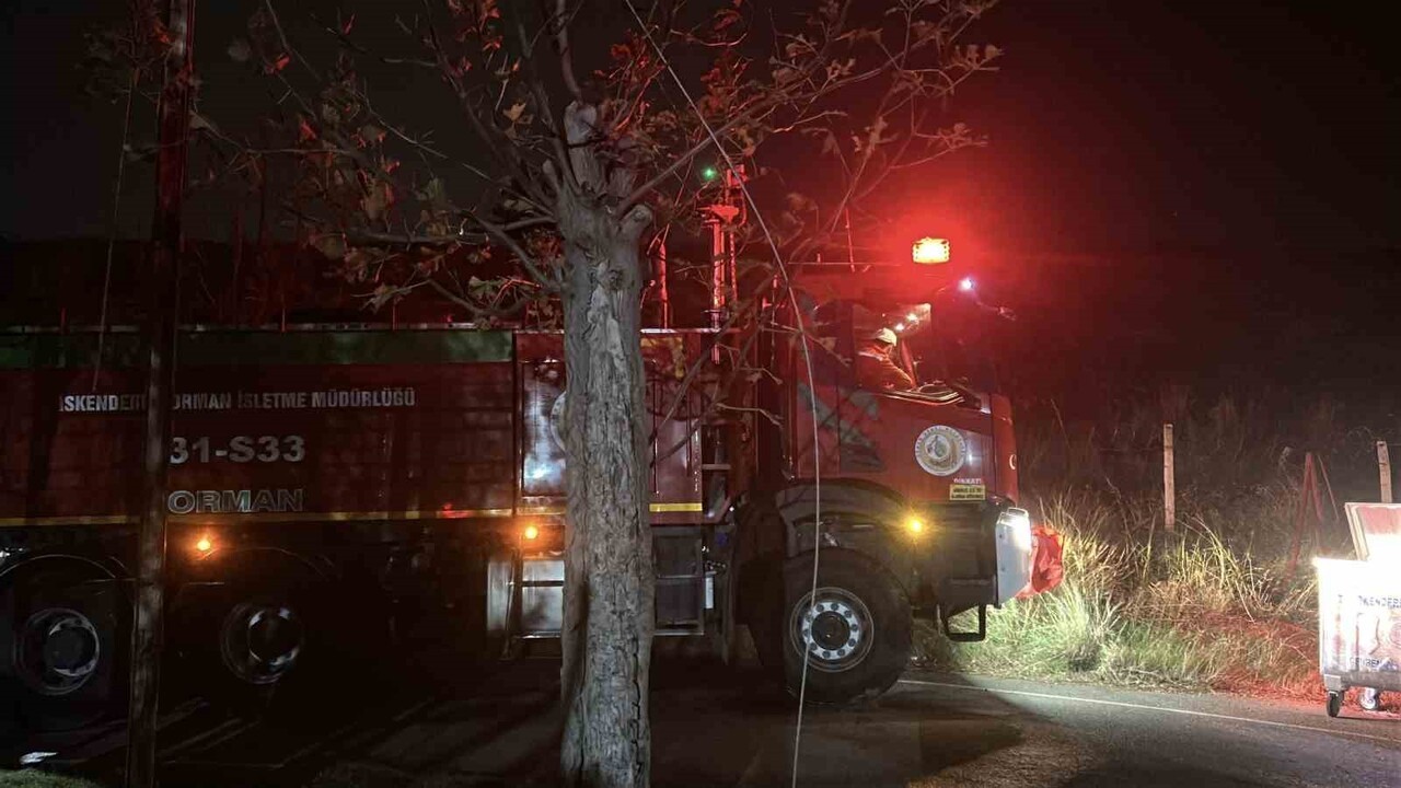 HATAY (İHA) - HATAY’IN İSKENDERUN İLÇESİNDE ÇIKAN OTLUK YANGINI, ORMAN İŞLETME MÜDÜRLÜĞÜ...