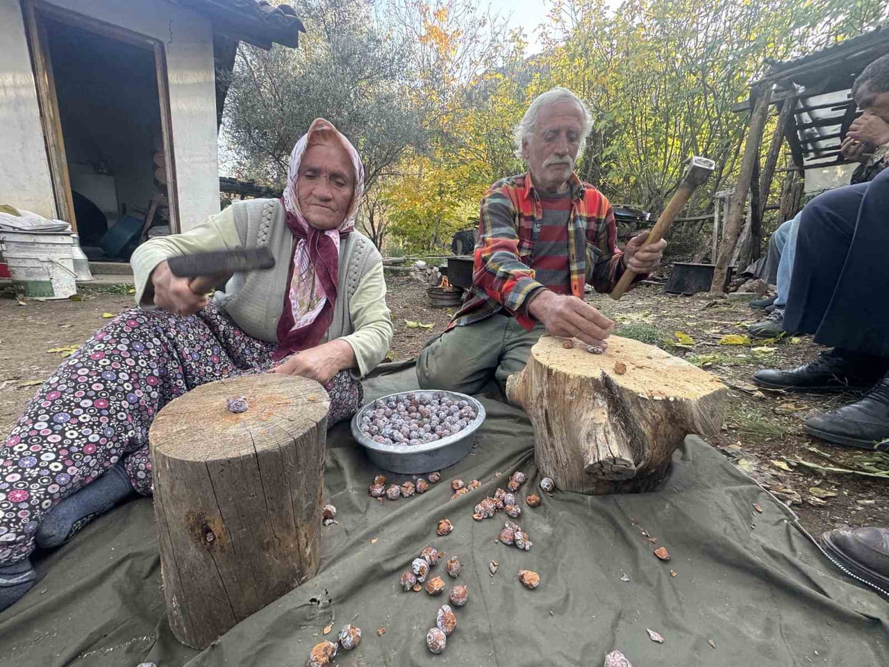 İBRADI İLÇESİNDE TOROS DAĞLARI'NDA ANDIZ AĞAÇLARINDAN TOPLANAN KOZALAKLARDAN PEKMEZ YAPILIYOR