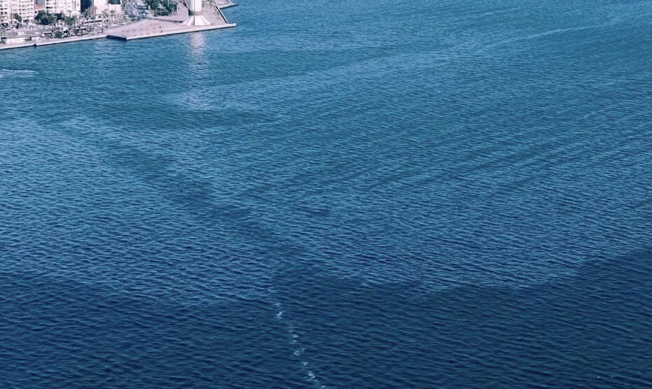 İZMİR KÖRFEZİ'NDE ÇEVRE KİRLİLİĞİ YAŞANDI