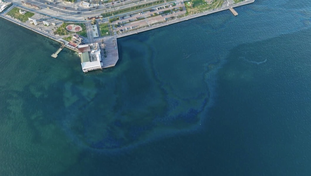 İZMİR KÖRFEZİ'NDE ÇEVRE KİRLİLİĞİ YAŞANDI