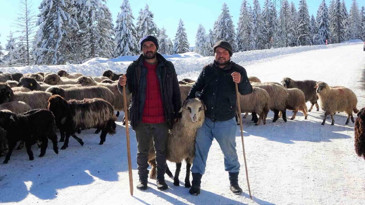 KAR YAĞIŞI İLE BİRLİKTE KOYUN BESİCİLERİ DE DÖNÜŞ YOLUNDA GEÇTİ.