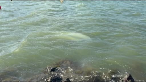 Karadeniz'de fırtına: Samsun'da 3 tekne battı