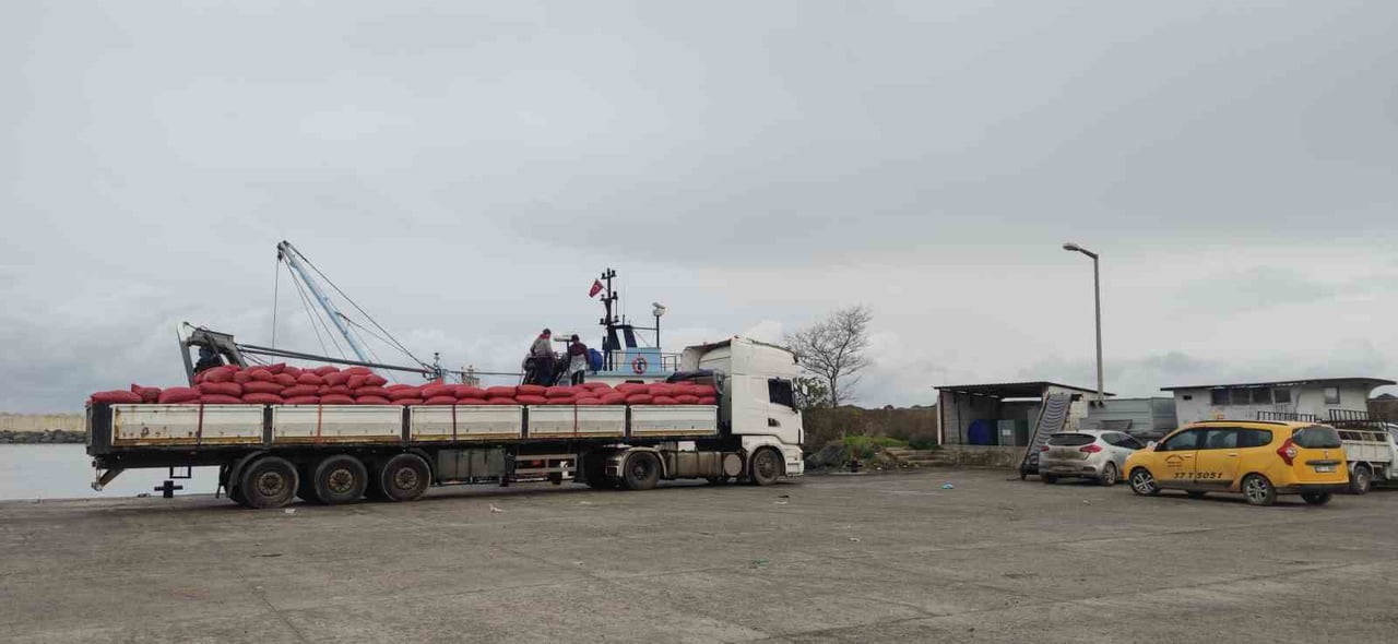 KARADENİZ’DE YAKALANAN BİN 400 TON BEYAZ KUM MİDYESİ, FABRİKALARDA İŞLENDİKTEN SONRA İTALYA’YA...