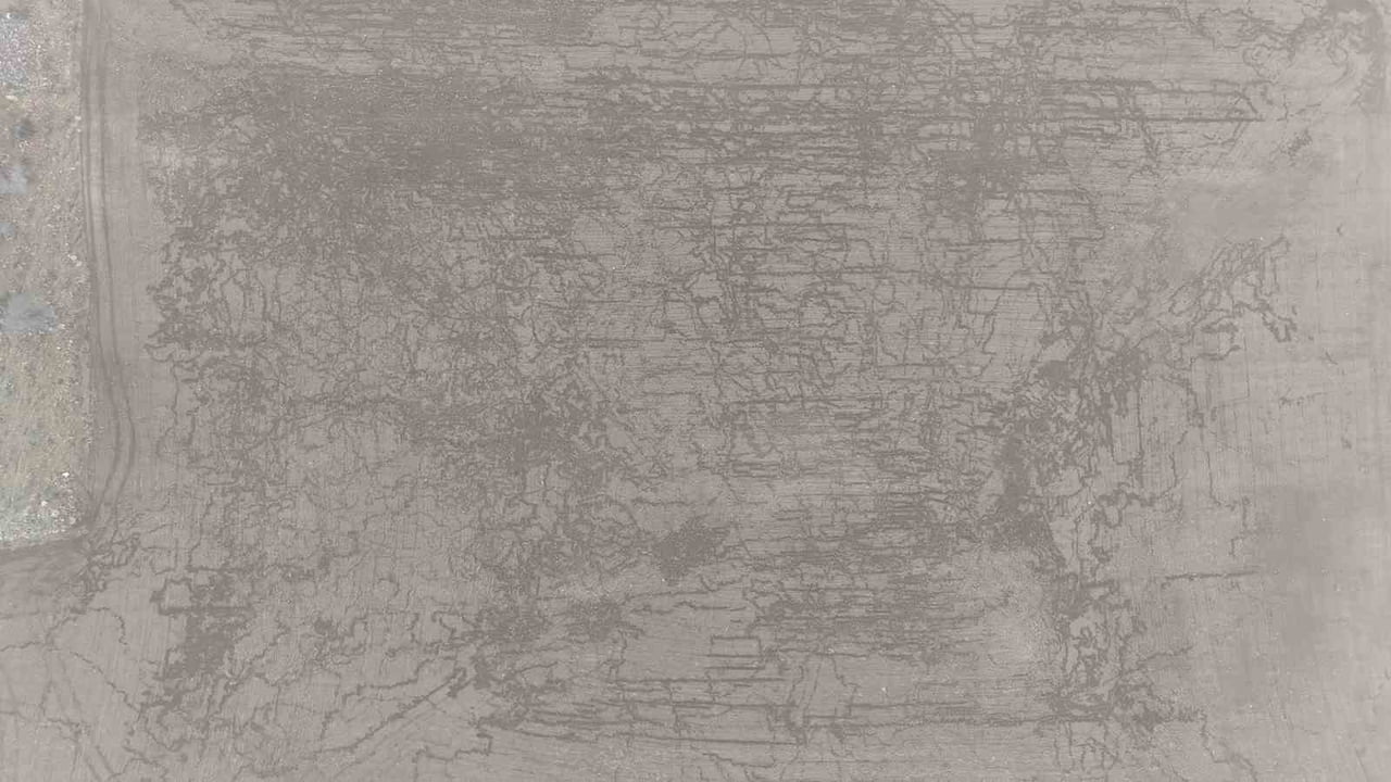 KARAMAN'IN MADENŞEHİR KÖYÜNDE YABAN DOMUZLARI, ARPA VE BUĞDAY EKİLİ TARLAYA ZARAR VERDİ. HAVADAN...