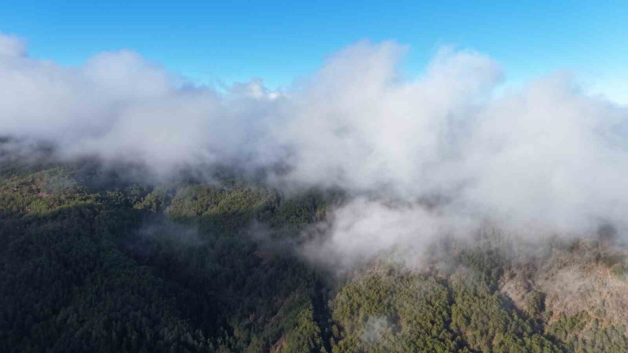 KASTAMONU'NUN İHSANGAZİ İLÇESİNDE SİS BULUTLARI VE ORMANLARIN BULUŞMASI ORTAYA KARTPOSTALLIK...