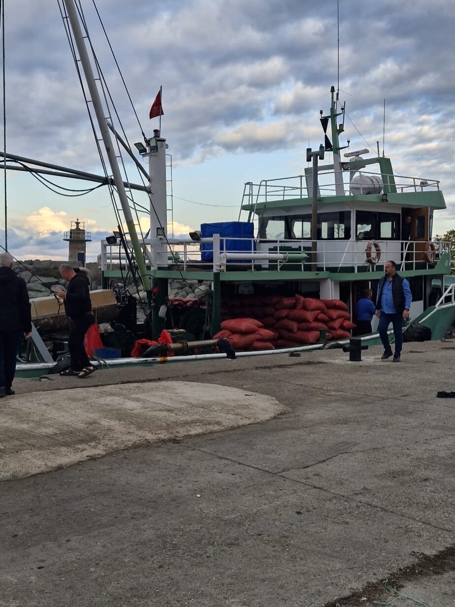KASTAMONU’NUN İNEBOLU İLÇESİNDEKİ EVRENYE BALIKÇI BARINAĞI’NDA BEYAZ KUM MİDYESİ AVCILIĞI, BOY VE...