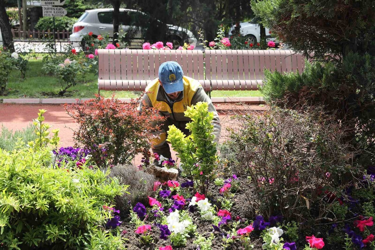 KEÇİÖREN’DE SERADA YETİŞTİRİLEN ÇİÇEKLER İLÇEDEKİ PARKLARA YERLEŞTİRİLİYOR.