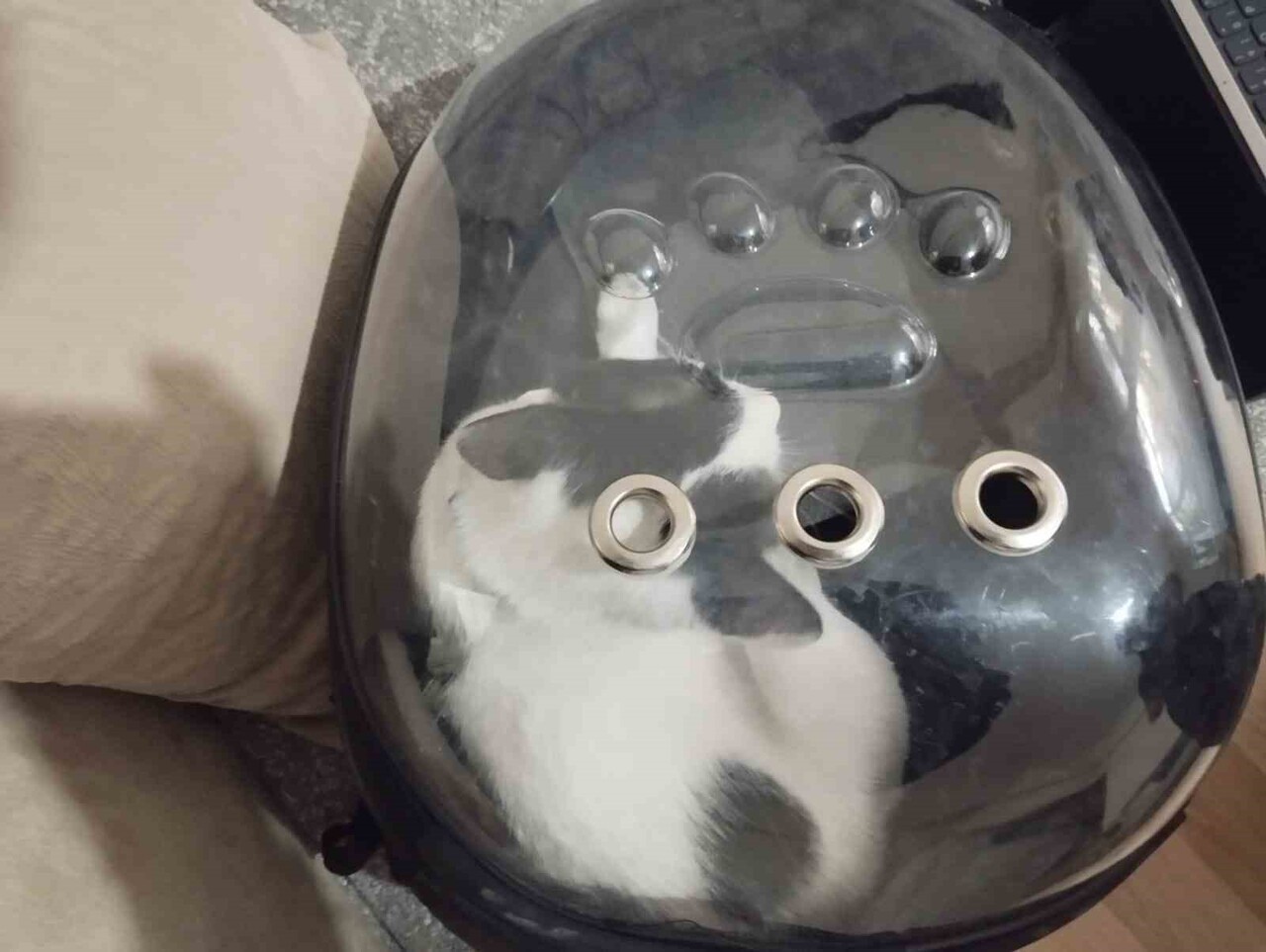 KEDİ BAŞARILI BİR OPERASYONLA KURTARILARAK SAHİBİNE TESLİM EDİLDİ