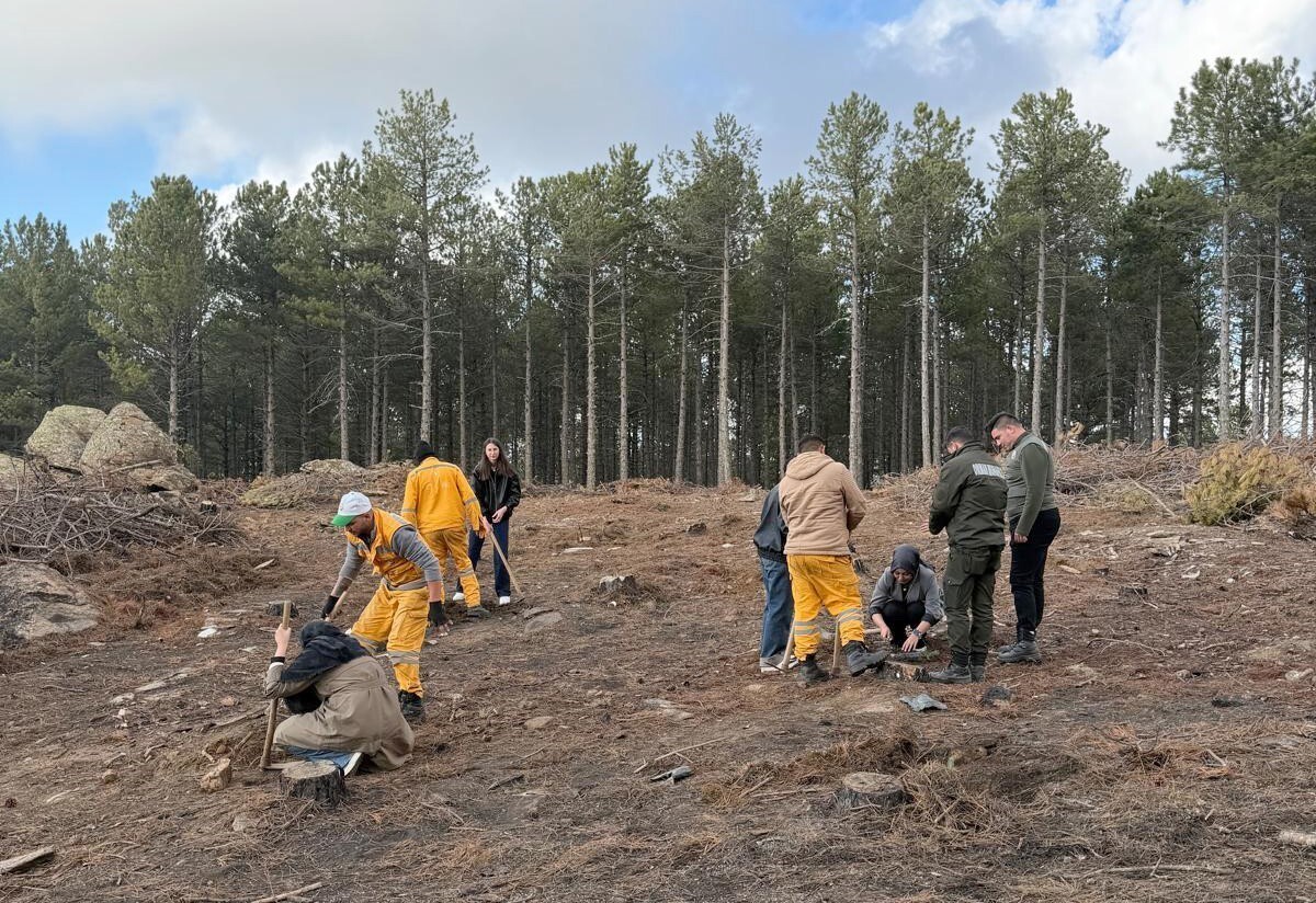 KIRŞEHİR’DEN GELEN ÜNİVERSİTE ÖĞRENCİLERİ ÇİNE’DE FİDAN DİKTİ