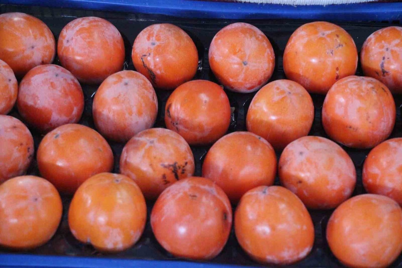 KIŞ AYLARINDA BAĞIŞIKLIĞI GÜÇLENDİRMESİ, SİNDİRİMİ RAHATLATMASI VE DOĞAL ENERJİ VERMESİ NEDENİYLE...