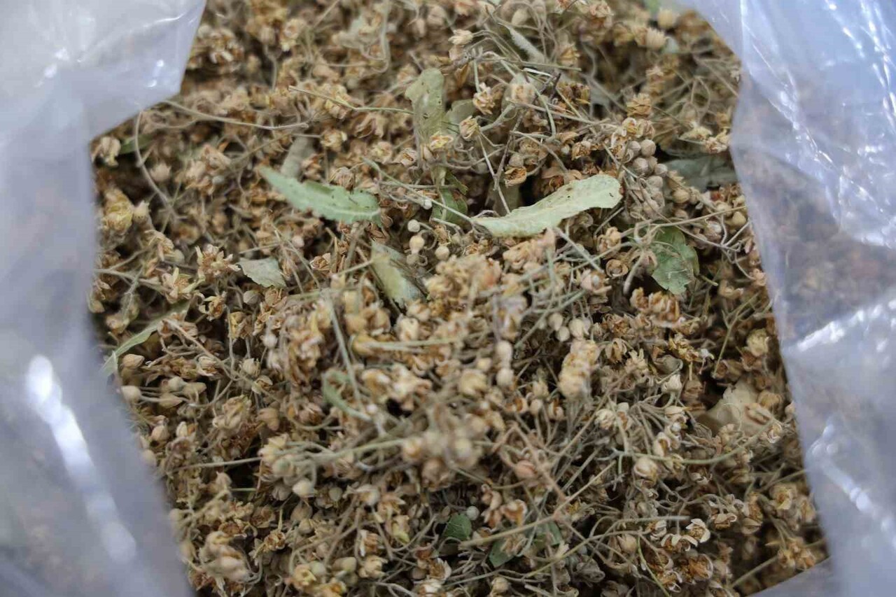 KIŞ MEVSİMİ ÖNCESİNDE KIRŞEHİR’İN TARİHİ UZUN ÇARŞISI’NDA BULUNAN BAHARATÇILAR, VATANDAŞLARA BİTKİ...