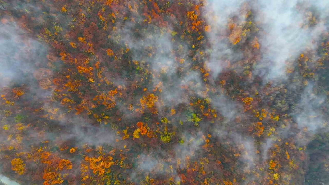 KOCAELİ'NİN YÜKSEK KESİMLERİNDE ARALIK AYININ SON GÜNLERİNDE ETKİLİ OLAN SİS VE DOĞANIN BÜRÜNDÜĞÜ...