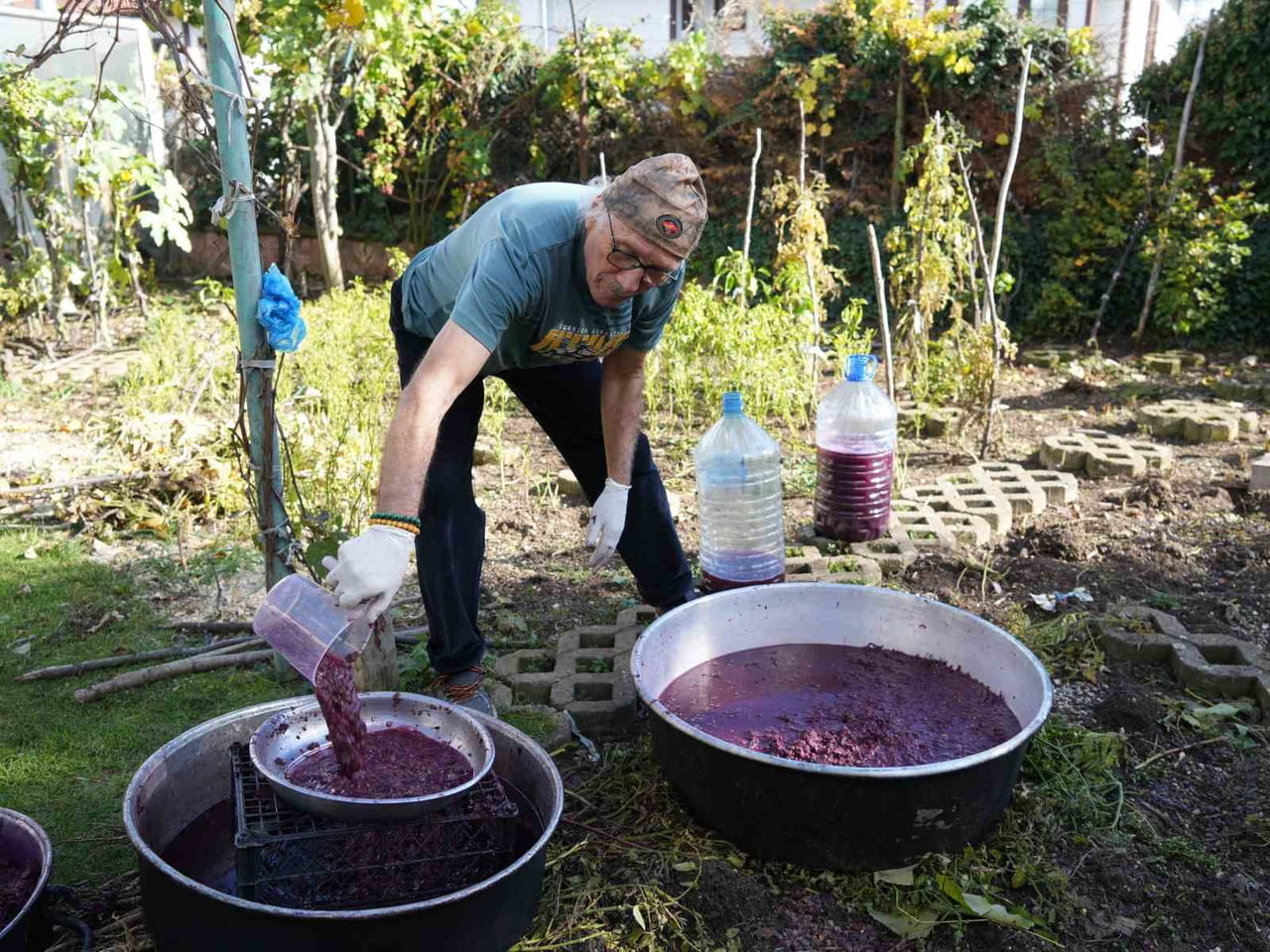KOKULU ÜZÜMDEN ÇEŞİTLİ MARMELATLAR ÜRETEN EMEKLİ AKADEMİSYEN HÜSNÜ ŞİNOFOROĞLU, "KOKULU ÜZÜM...