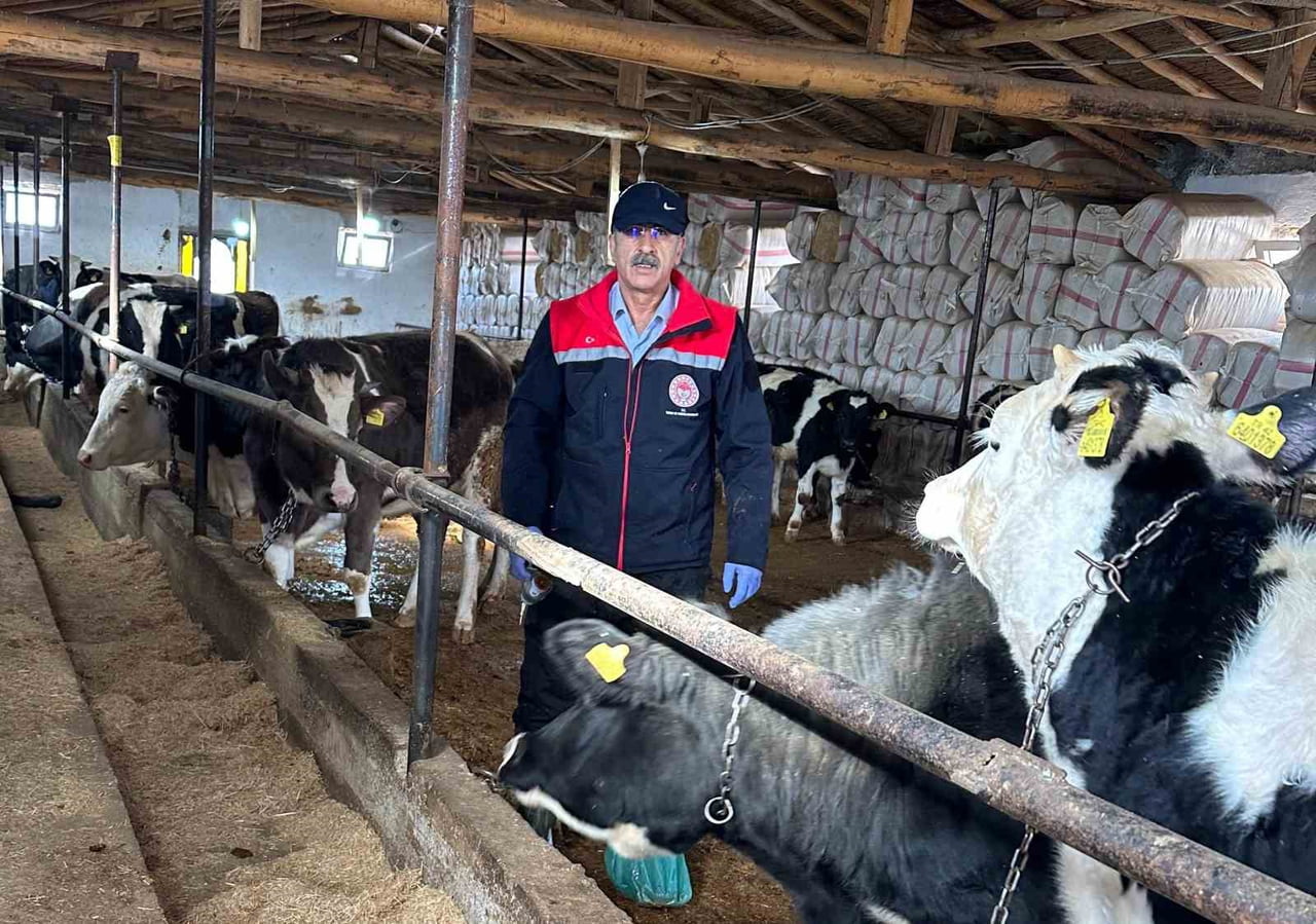 KONYA’NIN BEYŞEHİR İLÇESİNDE BESİ HAYVANLARININ SAĞLIĞININ KORUNMASI, GÜVENİLİR HAYVANSAL...