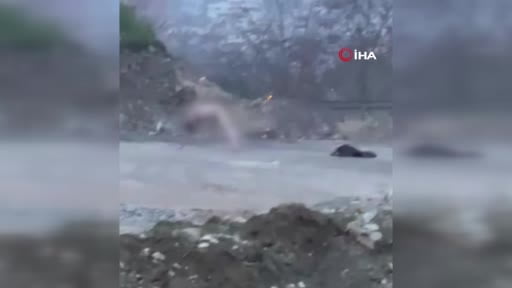 Köprü altında akıllara durgunluk veren görüntüler