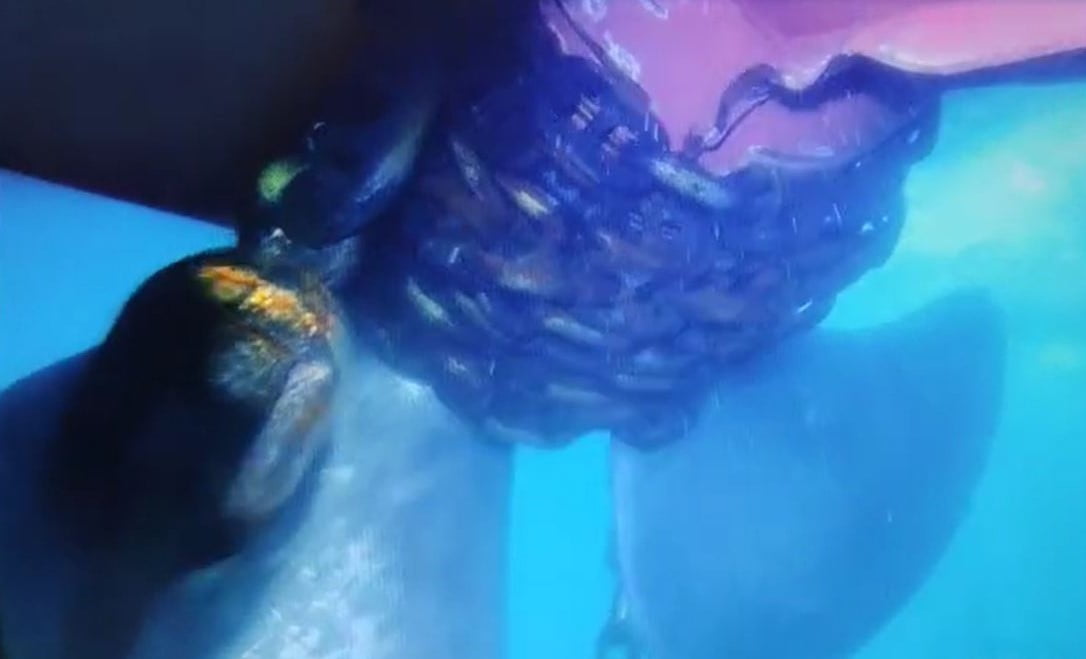 KÜÇÜKÇEKMECE’DE DEMİR SAHASINDA TÜRK BANDIRALI ALATEPE TANKERİNİ KURTARMA VE HASAR TESPİT...