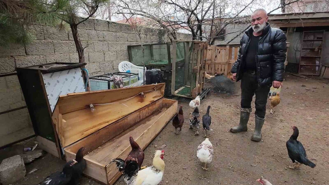 KULLANILMIŞ TABUTLARDAN KANATLI HAYVANLAR İÇİN ANA KUCAĞI YAPTI.