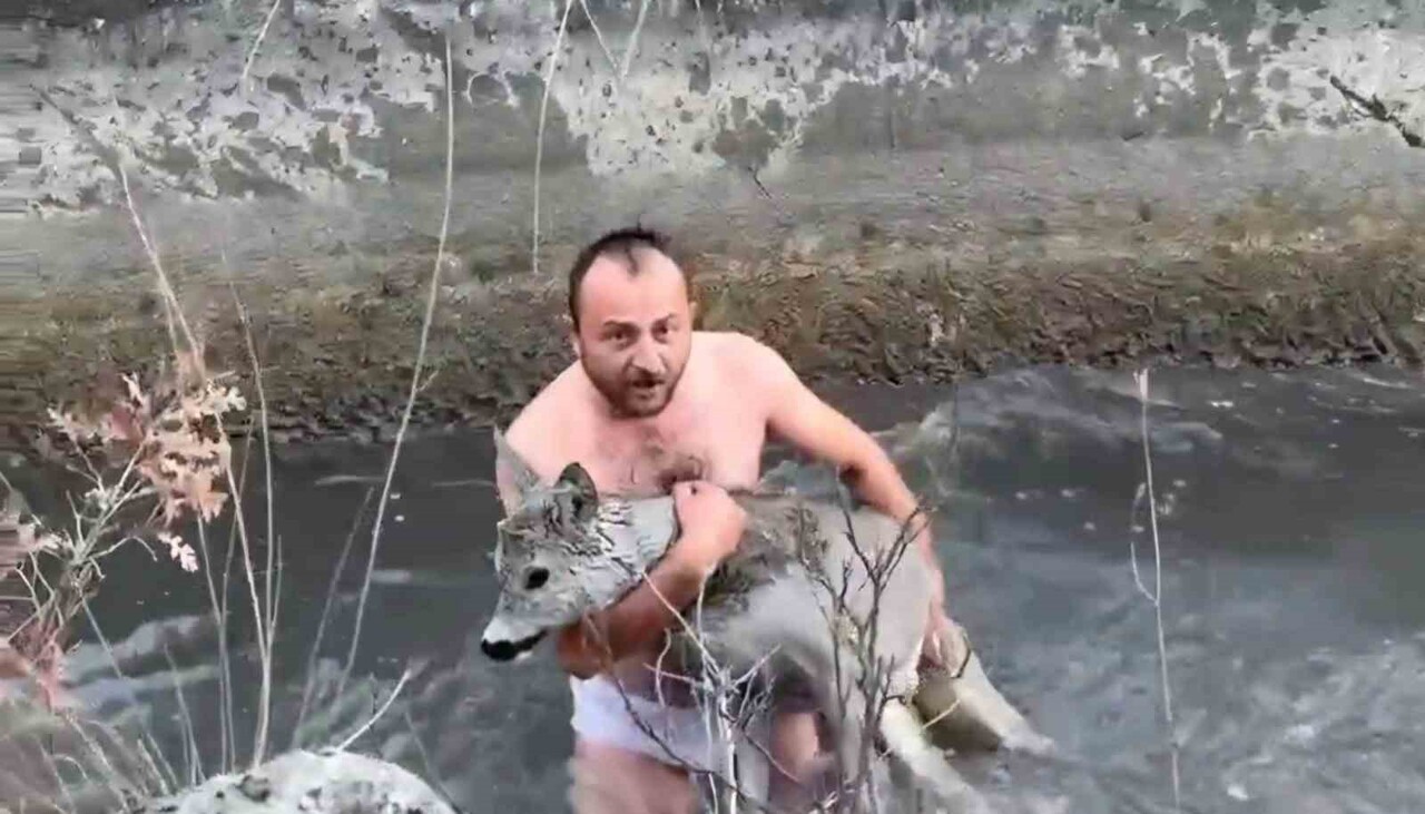 KÜTAHYA’DA HAYVAN SEVERLER SU KANALINA DÜŞEN KARACAYI KURTARDILAR