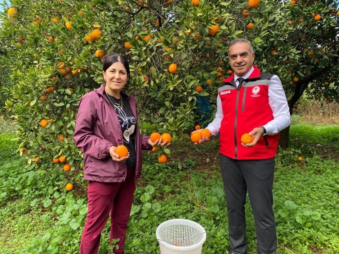KUYUCAK’TA PORTAKAL HASADI YAPILDI, ÜRETİCİLERE BELGELERİ TESLİM EDİLDİ