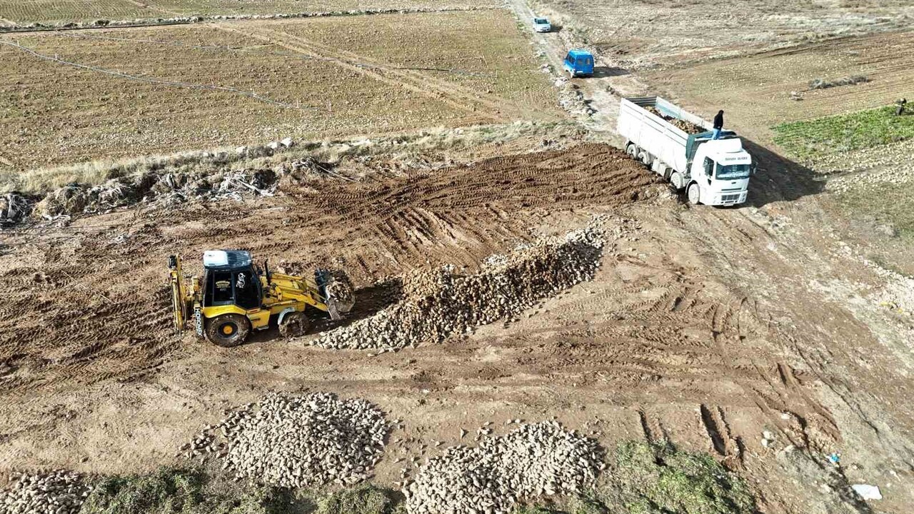 MALATYA'DA EYLÜL AYINDA BAŞLAYAN ŞEKER PANCARI HASADINDA SONA GELİNİRKEN, ELDE EDİLEN YÜKSEK VERİM...