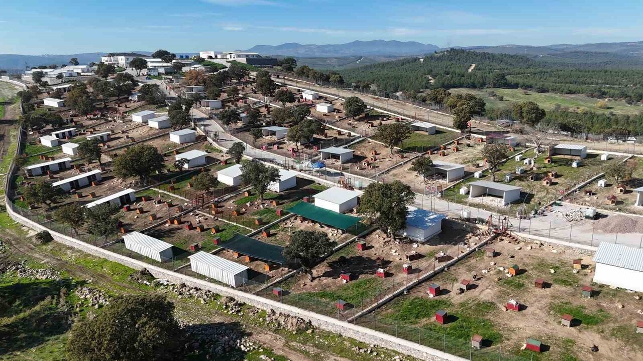 MANİSA'NIN YUNUSEMRE İLÇESİNDE HİZMET VEREN HAYVAN YAŞAM MERKEZİ, MODERN YAPISI, PROFESYONEL...