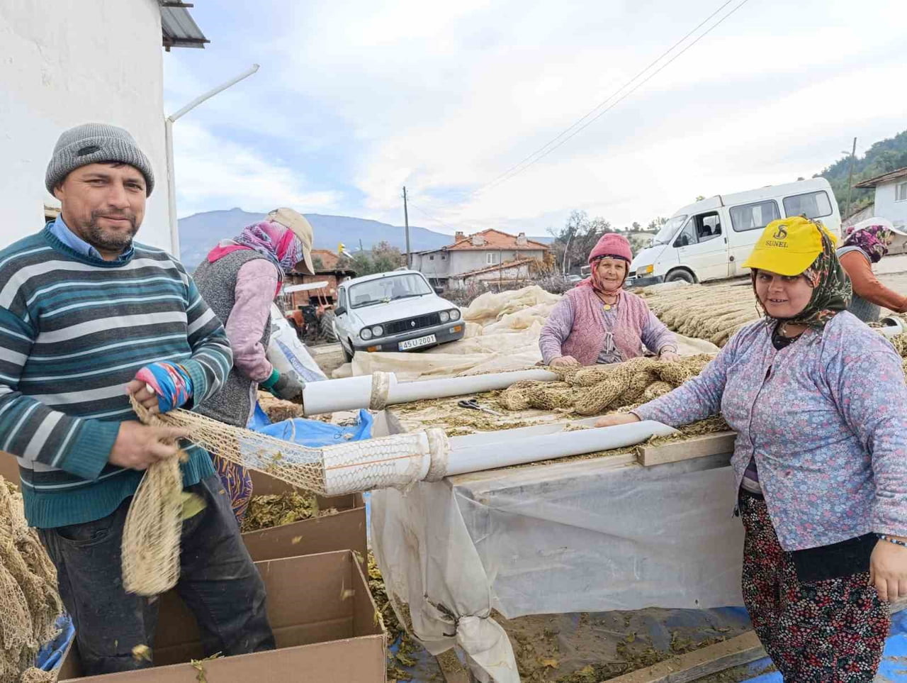 MANİSA’NIN SELENDİ İLÇESİNDE TÜTÜN HASADINI TAMAMLAYAN ÜRETİCİLER, ÜRÜNLERİNİ SATIŞA HAZIR HALE...