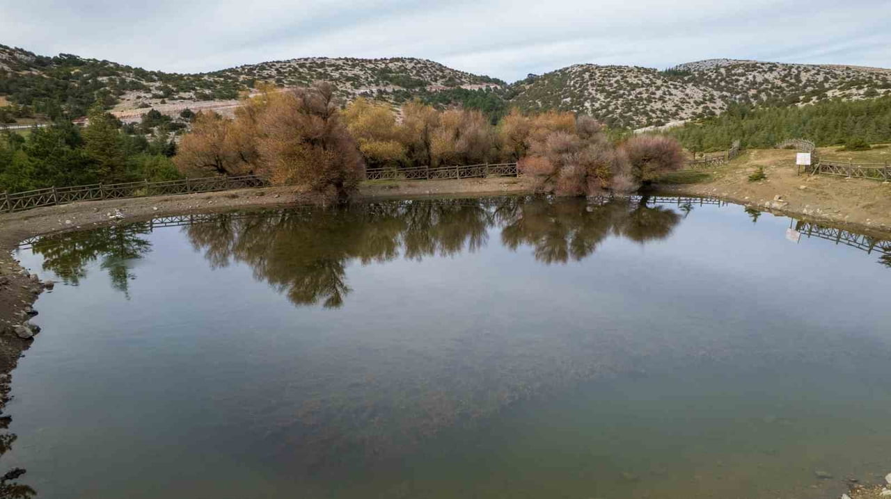 MANİSA VE İZMİR ARASINDA YER ALAN 1517 METRE RAKIMLI SPİL DAĞI MİLLİ PARKI’NDA ARALIK AYININ...