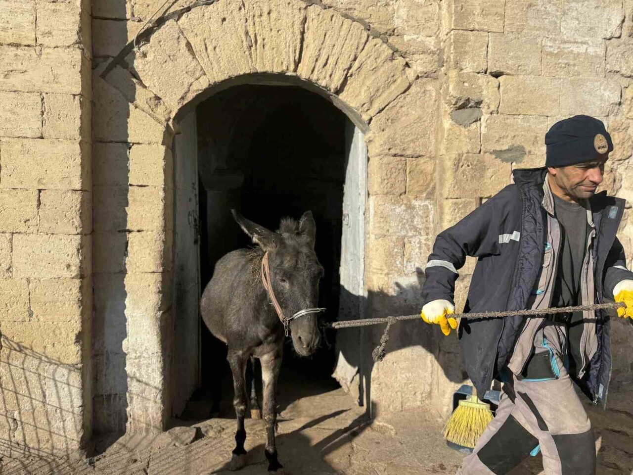 MARDİN ARTUKLU'DA ÇÖPLERİN TOPLANMASINDA GÖREV YAPAN VE EMEKLİ EDİLMESİ PLANLANAN EŞEKLERİN YERİNE...