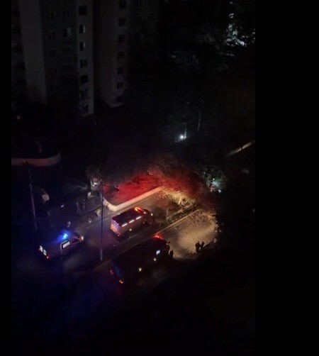 MERSİN'DE YOL KENARINDA BULUNAN BİR AĞAÇ, SÜRÜCÜSÜNÜN İÇİNDE OLDUĞU OTOMOBİLİN ÜZERİNE DEVRİLDİ....