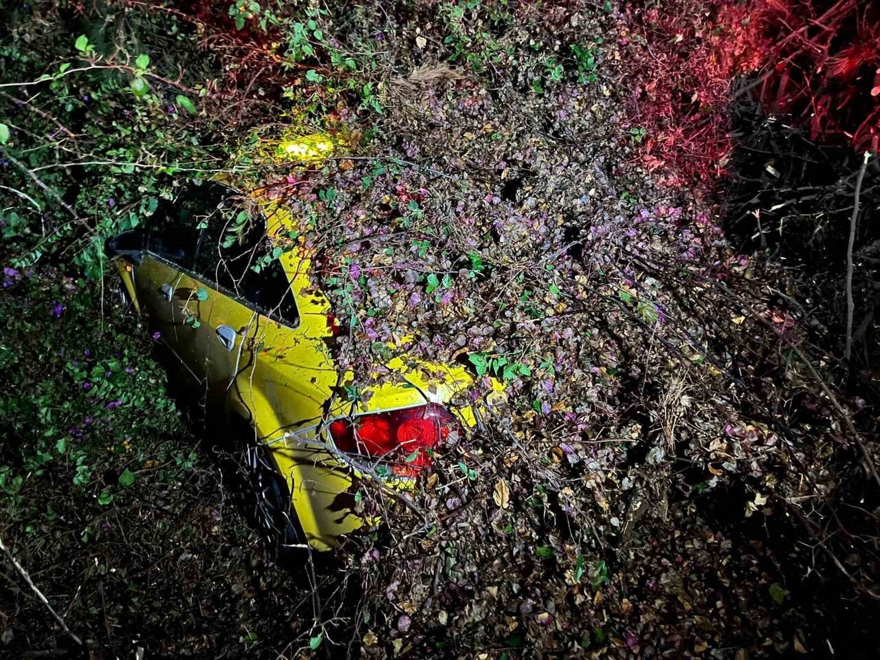 MERSİN'DE YOL KENARINDA BULUNAN BİR AĞAÇ, SÜRÜCÜSÜNÜN İÇİNDE OLDUĞU OTOMOBİLİN ÜZERİNE DEVRİLDİ....