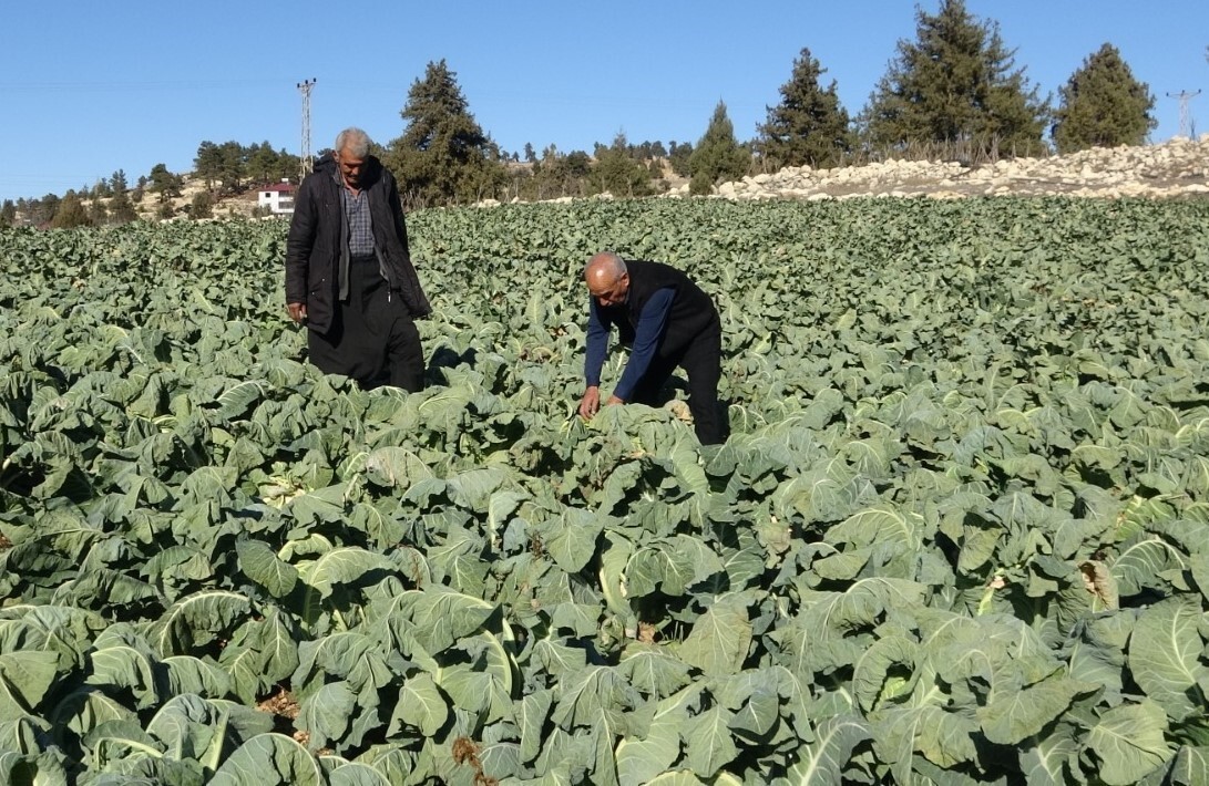 MERSİN'İN KIRSAL BİR MAHALLESİNDE, ÇAMURLU OLAN AYAKKABILARINI KAPIDA ÇIKARIP ÇORAPLA MARKETTE...
