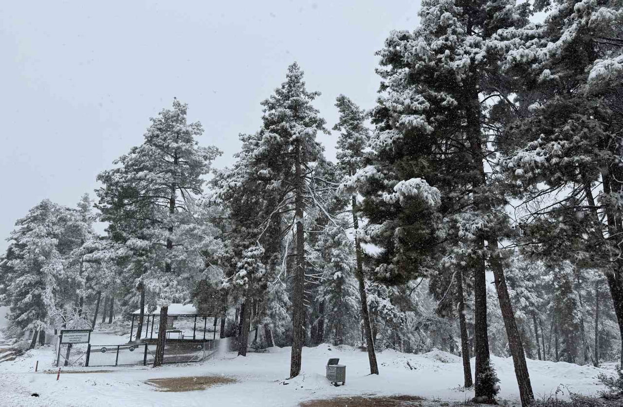 MERSİN'İN YÜKSEK RAKIMLI İLÇELERİNDE KAR YAĞIŞI ETKİLİ OLDU. ÇAMLIYAYLA İLÇESİ KARLA KAPLANIRKEN...